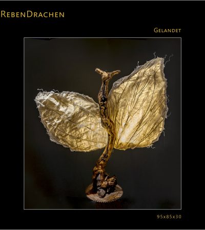 REBENDRACHE_GELANDET