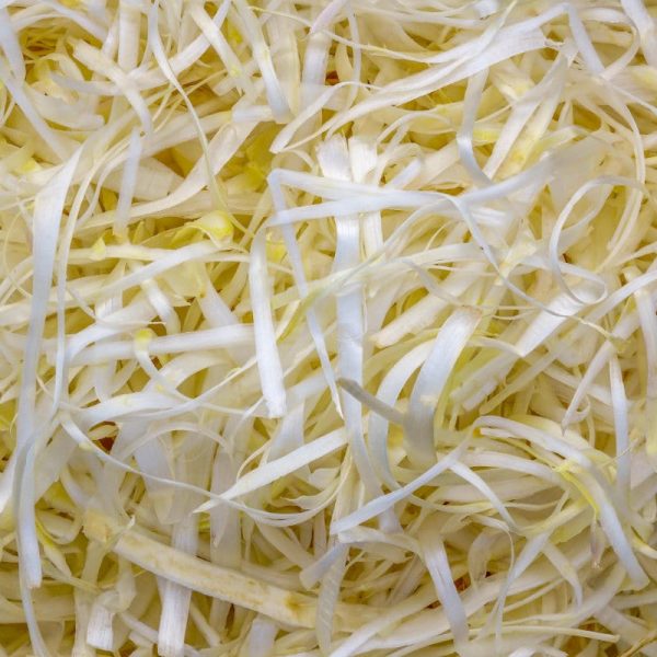 Spargelschalen, Paperart, Ausgangsmaterial für Spargelpapier, Licht- und Objektkunst aus Spargelpapier